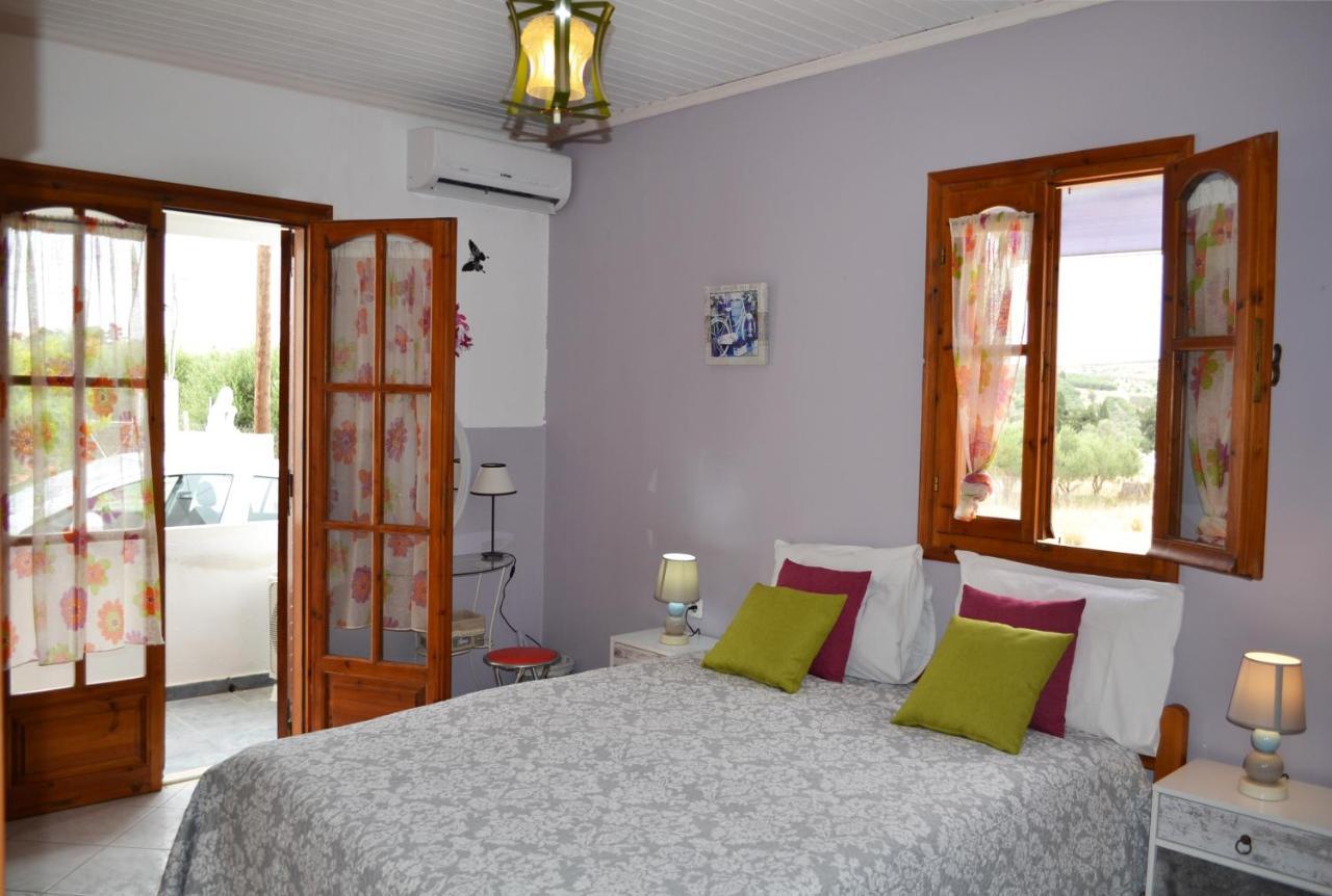 Villa Zahner Pitsidia Extérieur photo